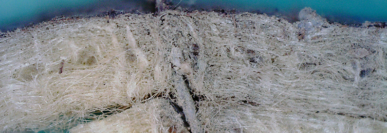 Bild på ett kraftigt uppförstorat filter, gråa fibrer mot en blå bakgrund